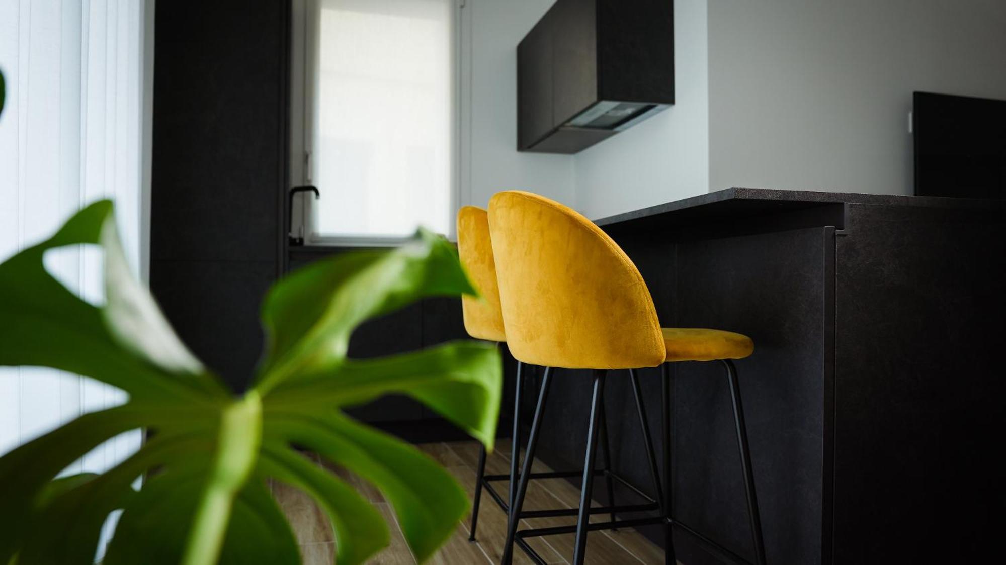 Palazzo Gilberto Apartment ปาโดวา ภายนอก รูปภาพ